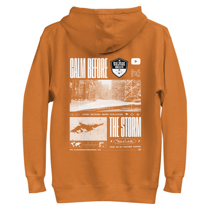 Calm Before the Storm Hoodie (RUNS SMALL)