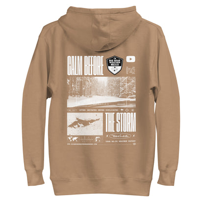 Calm Before the Storm Hoodie (RUNS SMALL)