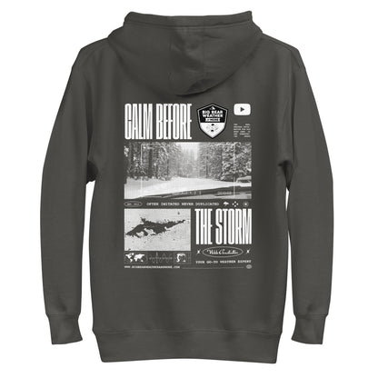 Calm Before the Storm Hoodie (RUNS SMALL)